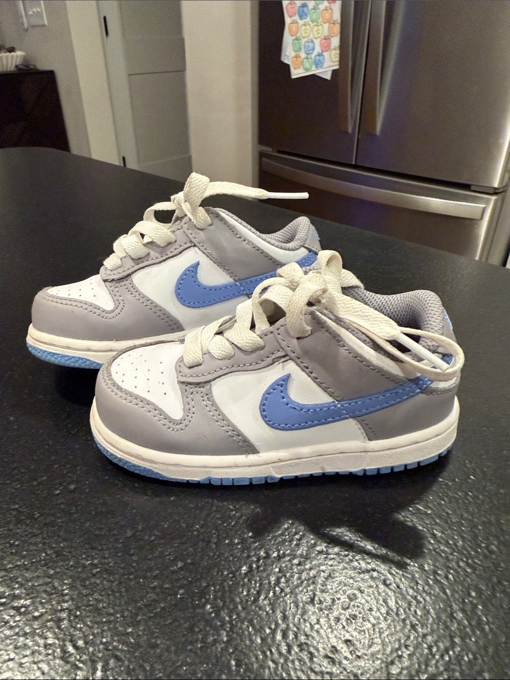 Nike Dunk Low Toddler Sneakers - Size 8C